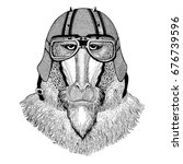 monkey  baboon  dog ape  ape... | Shutterstock . vector #676739596