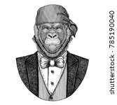 gorilla  monkey  ape wild biker ... | Shutterstock . vector #785190040
