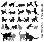 vector set of kitten... | Shutterstock .eps vector #173910260