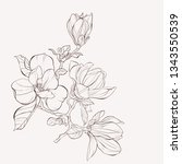 Sketch Floral Botany Collection....