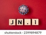 Coronavirus and jn.1 variant on ...
