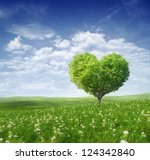 Tree In The Shape Of Heart ...