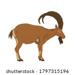 Goat Ibex Vector Illustration...