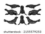 herd of harbor seal vector... | Shutterstock .eps vector #2155579253