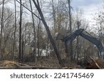 Small photo of In construction site that involved subdivision of housing development, skid steer tractor used to clear land uproot trees that had been uprooted