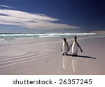 Two King Penguins At Volunteer...
