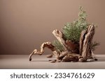 Small photo of Abstract nature scene with a composition of juniper and dry snags. Neutral beige background for cosmetic, beauty product branding, identity, and packaging. Natural pastel colors. Copy space.