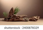 Small photo of Abstract north nature scene with a composition of lichen, pine branches, and dry snags. Beige background for cosmetics, beauty product branding, identity, and packaging. Copy space.