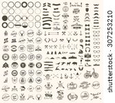 vector set of icons and labels | Shutterstock .eps vector #307253210