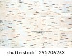 stock photo close up of birch tree bark details background or texture 295206263 - Some People Today Excel At Birch Gold Group Testimonials And Some Don't - Which Just one Are You?