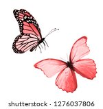 two butterfly flying  isolated... | Shutterstock . vector #1276037806