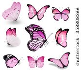 Nine Pink Butterflies On White...