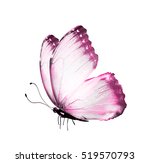 Color Butterfly  Isolated On...