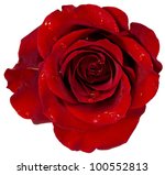 Red Rose With Dew Isolation On...