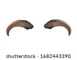 goat horns isolated on a white background