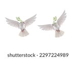Two white dove in flight on a...