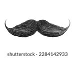 Curly black mustache isolated on a white background