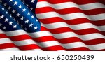United States Flag Vector...