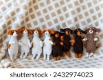 Small photo of group of bonded dogs jack russell and dachshund toy with yarn and knitting accessories