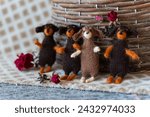 Small photo of group of bonded dogs dachshund toy with yarn and knitting accessories