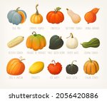 big variety of pumpkins with... | Shutterstock .eps vector #2056420886