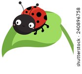 Cartoon Ladybug Wallpaper Free Stock Photo - Public Domain Pictures