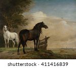 Two Horses In A Meadow Near A...