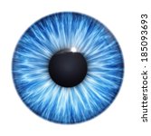 An Image Of A Nice Blue Eye...