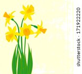 Vector Card With Daffodils On...
