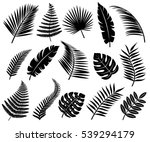 set of tropical leaves. vector | Shutterstock .eps vector #539294179