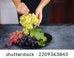 Vineyard Harvest in autumn season. Crop and juice, Organic blue, red and green grapes on table viewed from above, concept wine, Woman holding grapes