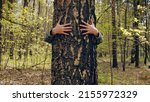 Small photo of Arms Hugging a Tree In a Forest, showing Love and Care for Nature and Environment of Earth. Hug the tree. Hands of a adult person hug a tree trunk. Unity with nature, environmental protection