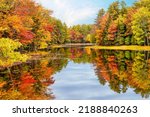 Autumn Foliage Reflections In...