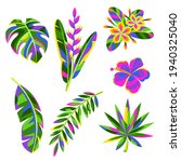 Set of tropical flowers and palm leaves. Summer exotic decorative plants.
