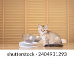 Small photo of Absolutely, the food and environment you provide for your kitten play crucial roles in their overall health and well-being.