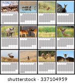 Wildlife Calendar 2016 Page...