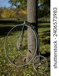 Small photo of Penny farthing bicycle. High wheeler bicycle in park