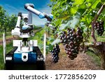 Smart Robotic Farmers Analyze...