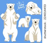 Polar Bears Collection. 