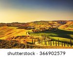 Tuscany, Crete Senesi rural sunset landscape. Countryside farm, cypresses trees, green field, sun light and cloud. Italy, Europe.