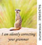 Small photo of A concept picture of a meerkat warning you that he is silently correcting your grammatical mistakes