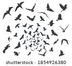 set of silhouettes of birds in... | Shutterstock .eps vector #1854926380