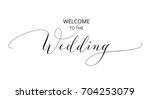 welcome to the wedding text ... | Shutterstock .eps vector #704253079