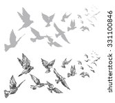 Flying Pigeons  Hand Drawn ...