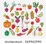 colored doodle fruits and... | Shutterstock .eps vector #569962990