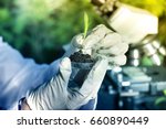 Close up of biologist's hand with protective gloves holding young plant with root above petri dish with soil. Microscope in background. Biotechnology, plant care and protection concept