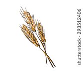 Doodle Wheat Spikelets Isolated ...
