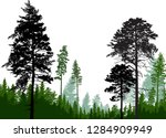 illustration with pine trees... | Shutterstock .eps vector #1284909949
