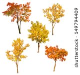 Set of five autumn trees...