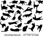 illustration with cat... | Shutterstock .eps vector #477873766